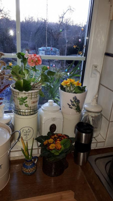 IMG-20180319-WA0000.jpeg