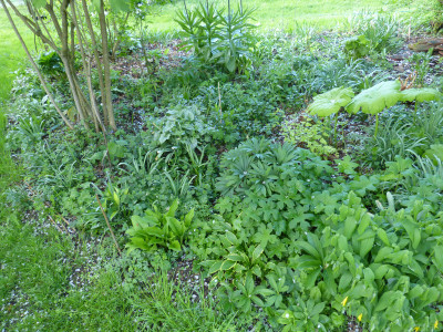 2018-04-26 Garteneinblick 1.jpg