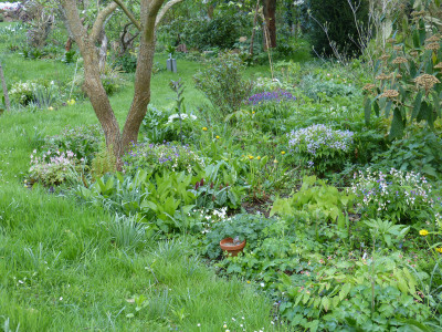 2018-04-26 Garteneinblick 4.jpg