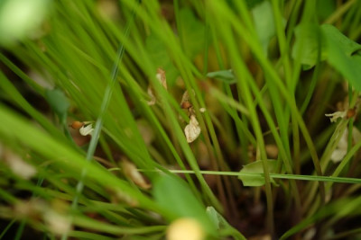 DSCF5954_3148.JPG