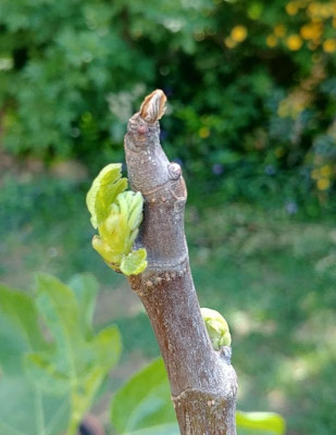 20180427_105917.jpg