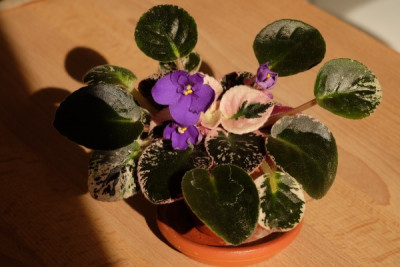 DSCF5926_3139.JPG
