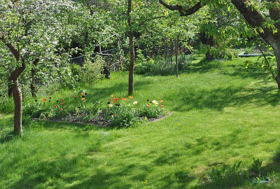 Fensterblick_April.jpg