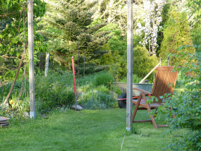 2018-04-29 Gartenimpressionen 6.jpg