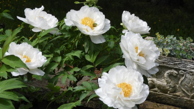 DSCN2615.JPG