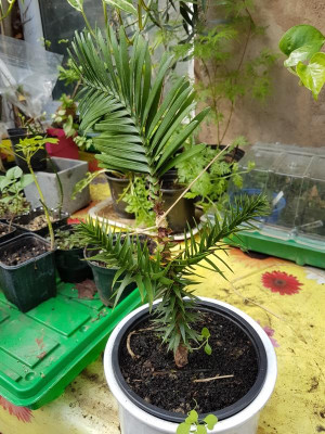 20180430_161617.jpg