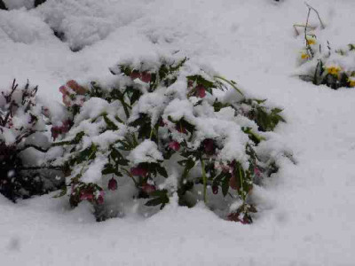 Winter_01.jpg