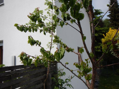DSCN6149.JPG