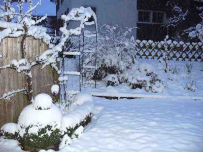 Winter_02.jpg