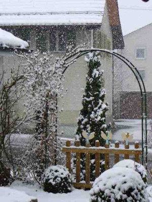 Winter_05.jpg