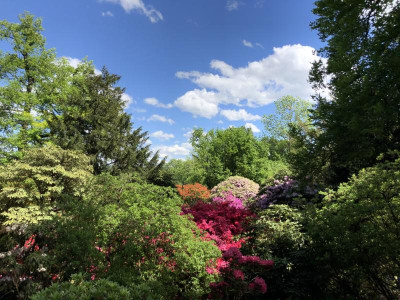 44D332CA-7E0B-49A3-B897-B641F0D10F28.jpeg