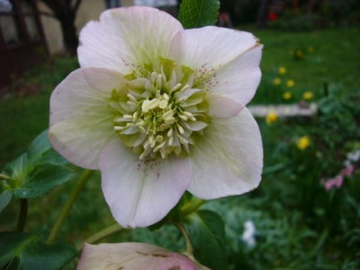 Gartencenter_1.jpg