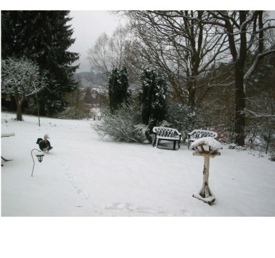 Schnee_22.03.07_1.jpg