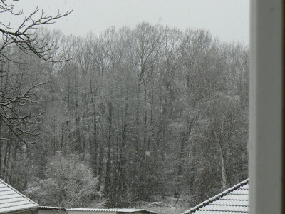 Wintereinbruch_07_03_22_3a.jpg