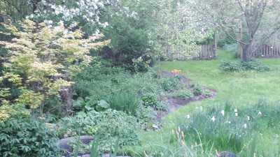 20180429_192655.jpg
