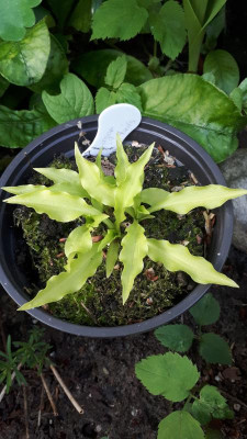 20180503_083143.jpg