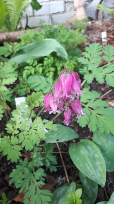 20180503_083319.jpg
