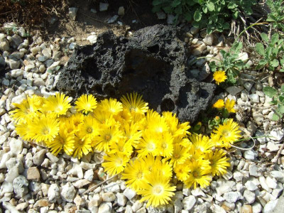 DSCF0639.JPG