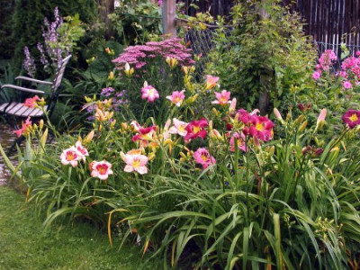 Garten._Rosa-lavendel_Ecke002.jpg