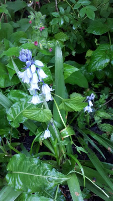 20180504_065939.jpg