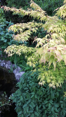 20180504_070435.jpg