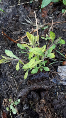 20180504_070728.jpg