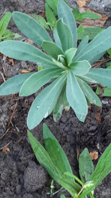 20180504_074238.jpg