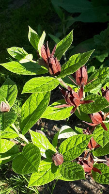 20180504_074444.jpg