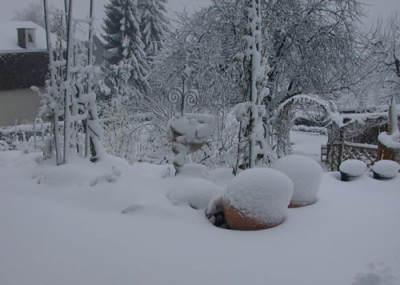 DSCN2643_Schnee_im_Fruhling_.jpg