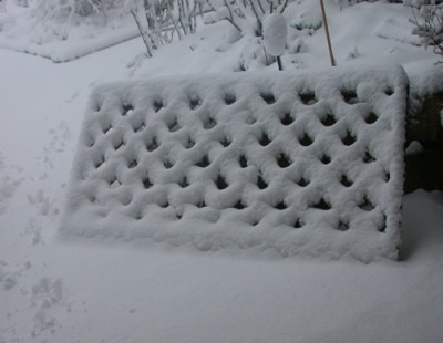 DSCN2642_Wintermuster_im_Fruhling_.jpg