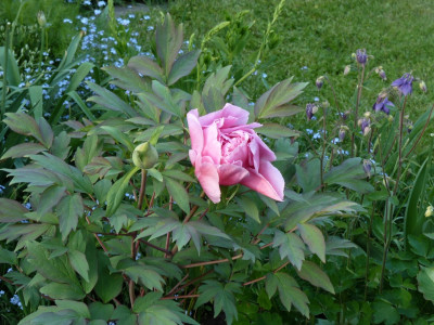 tg_180504_6.jpg