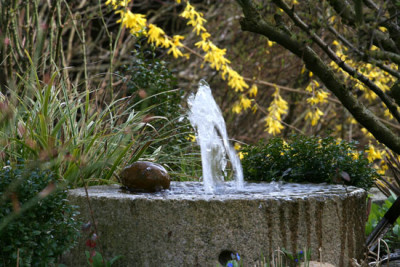 Gartenansicht-1.jpg