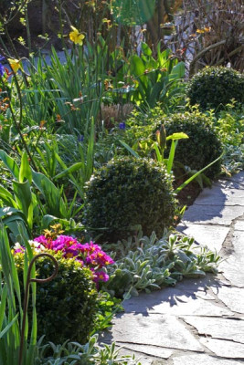 Gartenansicht-6.jpg