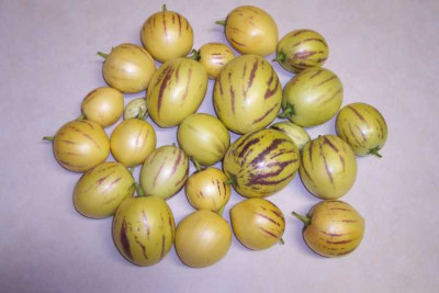 K640_100_3037.JPG