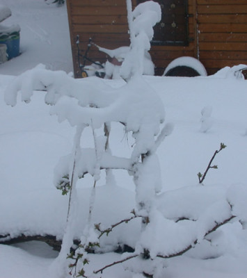 DSCN2662_Skifahrer_.jpg