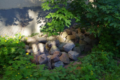 IMGP2325.JPG