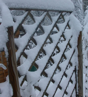 DSCN2669_Schneemuster_.jpg
