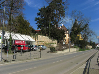 KamalienausstellungPirna140307.jpg