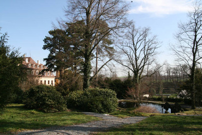 KamelienaustellungSchlossgarten140307.jpg