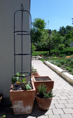 20180506_141454.jpg