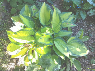 20180506_162451.jpg