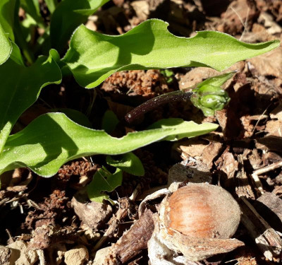 20180506_195023.jpg