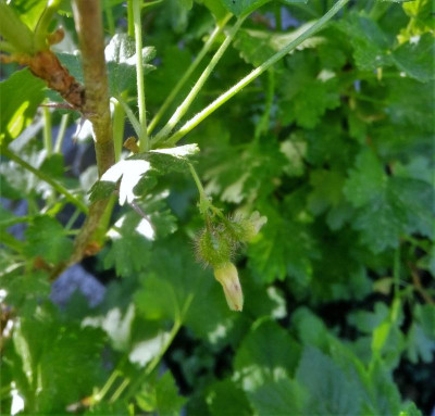 IMG_20180506_174344.jpg