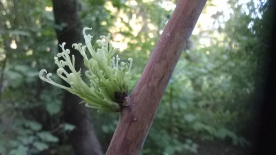 WP_20180507_004.jpg