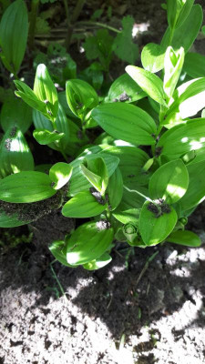 20180506_103908.jpg