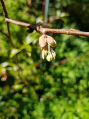 20180508_124850.jpg
