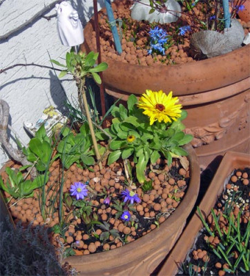 fruehling_01.jpg