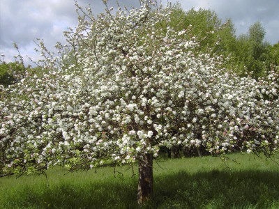 PICT2070.JPG
