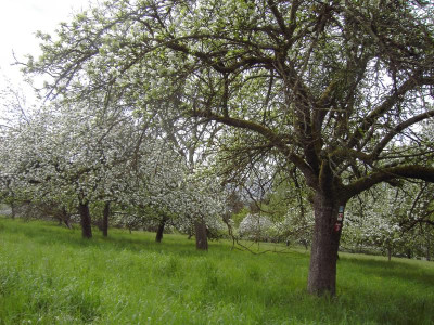 PICT2075.JPG