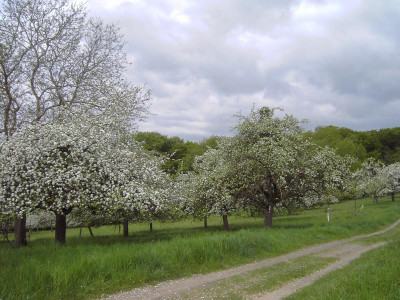 PICT2078.JPG